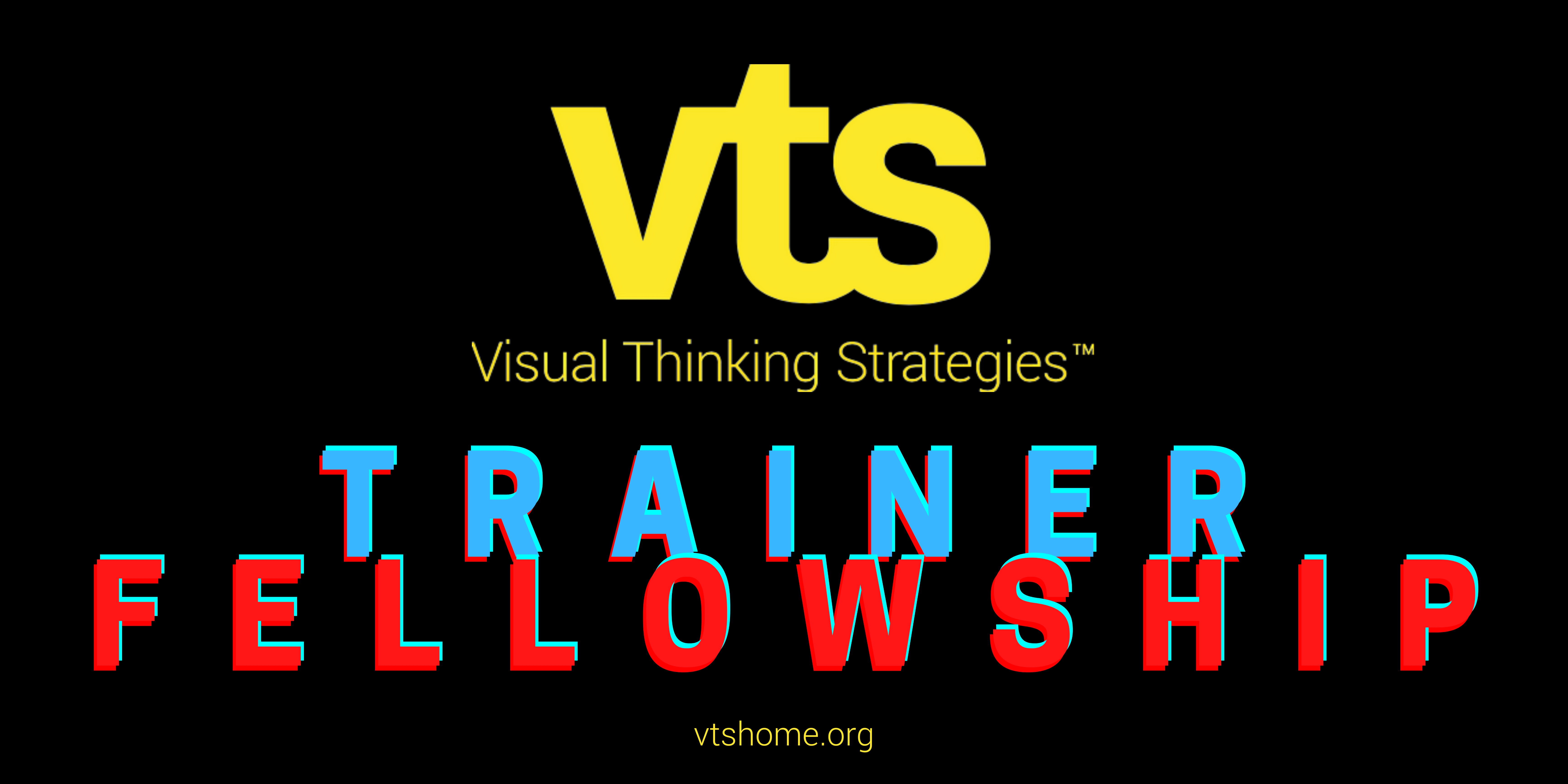 VTS Trainer Fellowship VTS Trainer Fellowship